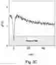 Fig. 07 - Nanoscale scanning sensors