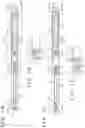 Fig. 02 - Knock-type electronic pen including first and second position indicators located at different ends of a tubular casing