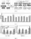 Fig. 04 - Method for accelerating deep neural networks execution with advanced operator fusion