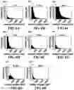 Fig. 07 - System and method for determining expected loss using a machine learning framework