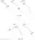 Fig. 33 - METHOD OF COMPENSATING FOR SHRINKAGE AND DISTORTION USING SCANS