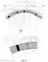 Fig. 07 - Stator for an electric machine