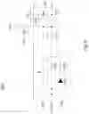 Fig. 09 - Conversion circuit