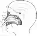Fig. 01 - Treatment of headache disorders