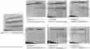 Fig. 01 - Cleansing foam cosmetic composition comprising amino acid-based surfactants