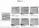 Fig. 02 - Cleansing foam cosmetic composition comprising amino acid-based surfactants