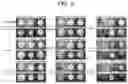 Fig. 04 - Cleansing foam cosmetic composition comprising amino acid-based surfactants