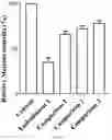 Fig. 07 - PREPARATION METHOD AND APPLICATION OF SINGLE EMULSIFIER AND DOUBLE EMULSION BASED ON DNA TRIANGULAR ORIGAMI TECHNOLOGY