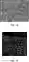 Fig. 02 - COMPOSITIONS FOR SKINCARE AND USE THEREOF