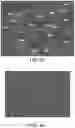 Fig. 07 - COMPOSITIONS FOR SKINCARE AND USE THEREOF