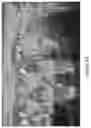 Fig. 24 - Dynamic treatment system and pathogen reduction devices