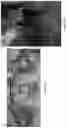 Fig. 25 - Dynamic treatment system and pathogen reduction devices