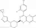 Fig. 1069 - Heterocyclic compounds as triggering receptor expressed on myeloid cells 2 agonists and methods of use