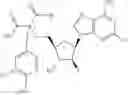 Fig. 735 - ECTONUCLEOTIDASE INHIBITORS AND METHODS OF USE THEREOF