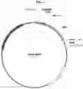 Fig. 02 - TARGETED MOSQUITOCIDAL TOXINS