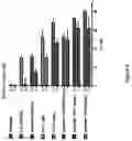 Fig. 09 - Superagonists, partial agonists and antagonists of interleukin-2