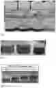 Fig. 07 - METHOD FOR REMOVING FOREIGN MATERIALS FROM THE SURFACE OF AN ARTICLE
