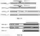 Fig. 02 - REGULATION OF RAN TRANSLATION BY PKR AND EIF2A-P PATHWAYS