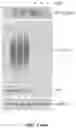 Fig. 19 - REGULATION OF RAN TRANSLATION BY PKR AND EIF2A-P PATHWAYS