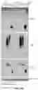 Fig. 28 - REGULATION OF RAN TRANSLATION BY PKR AND EIF2A-P PATHWAYS