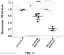 Fig. 29 - REGULATION OF RAN TRANSLATION BY PKR AND EIF2A-P PATHWAYS
