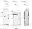 Fig. 04 - Application of CAS protein, method for detecting target nucleic acid molecule and kit