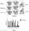 Fig. 07 - Application of CAS protein, method for detecting target nucleic acid molecule and kit