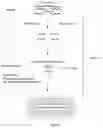 Fig. 08 - Application of CAS protein, method for detecting target nucleic acid molecule and kit