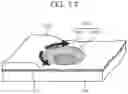 Fig. 12 - Liquid crystal display device