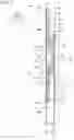 Fig. 04 - Light-emitting device