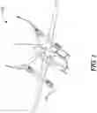 Fig. 02 - Electric aircraft with flight trajectory