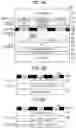Fig. 06 - METHOD FOR MANUFACTURING WIRING BODY, PATTERN PLATE, AND WIRING BODY