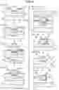 Fig. 09 - METHOD FOR MANUFACTURING WIRING BODY, PATTERN PLATE, AND WIRING BODY