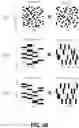 Fig. 10 - HARDWARE ARCHITECTURE FOR PROCESSING TENSORS WITH COMPLEMENTARY SPARSITY