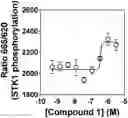Fig. 01 - Z-STILBENE AMPK ACTIVATOR COMPOUNDS, COMPOSITIONS, METHODS AND USES THEREOF