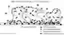 Fig. 01 - SUSTAINED RELEASE OF ANTIINFECTIVES