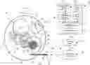 Fig. 01 - TIMEPIECE PROVIDED WITH A MECHANICAL MOVEMENT AND A DEVICE FOR CORRECTING A DISPLAYED TIME