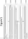Fig. 06 - FLUX QUBIT READOUT OF TRANSMON QUBITS
