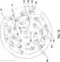 Fig. 17 - System For Processing Bone Stock Including A Bone Cleaning Head, A Bone Milling Head And Base That Powers Both The Cleaning Head And The Milling Head