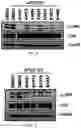 Fig. 04 - COMPOSITION FOR PREVENTING OR INHIBITING AXONAL DEGENERATION