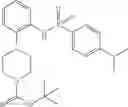 Fig. 124 - HETEROCYCLIC TRPML1 AGONISTS