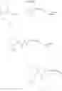 Fig. 82 - HETEROCYCLIC TRPML1 AGONISTS