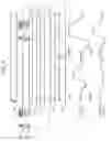 Fig. 10 - Printhead control circuit and liquid ejecting apparatus