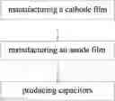 Fig. 01 - METHOD OF MANUFACTURING HIGH CAPACITANCE ANODE AND CATHODE FILMS OF CAPACITOR