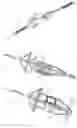 Fig. 16 - TRANSCATHETER VALVE LACERATION DEVICE AND METHOD