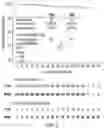 Fig. 03 - Dosing regimens associated with extended release paliperidone injectable formulations
