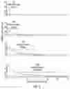 Fig. 06 - Dosing regimens associated with extended release paliperidone injectable formulations
