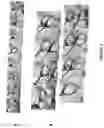 Fig. 08 - Devices and methods for high angle liquid electron tomography
