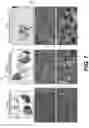 Fig. 02 - Systems and methods to process electronic images to provide blur robustness