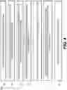 Fig. 07 - Systems and methods to process electronic images to provide blur robustness